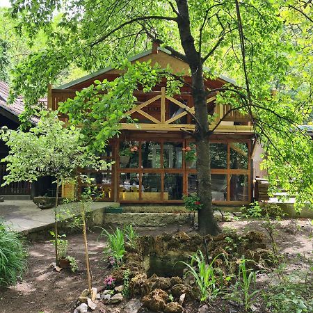 Villa Ribarev San Ovcar Banja Exterior foto